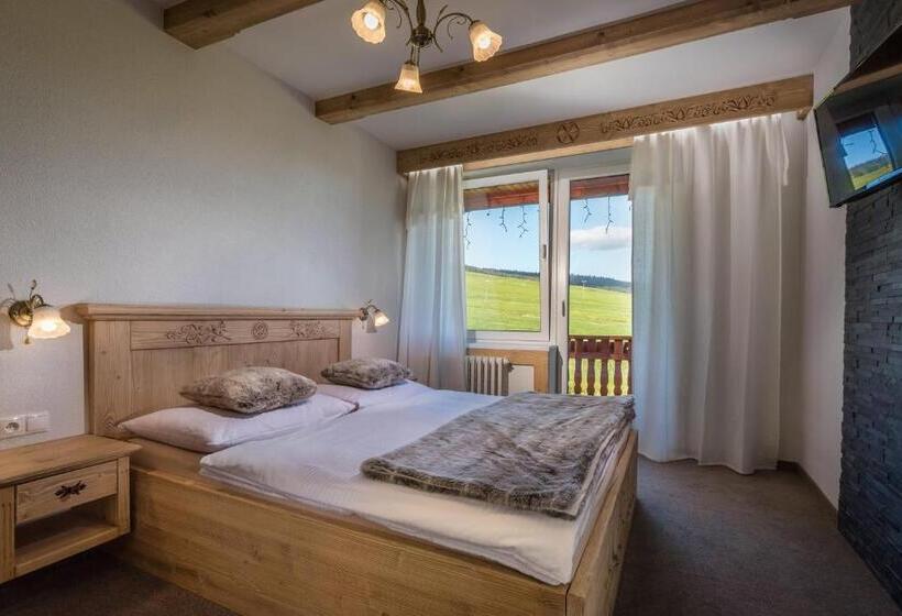 带1个卧室的带阳台的公寓, Penzión U Pavla