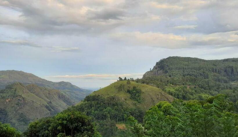 Quarto Estandar Vista Montanha, Aloft View