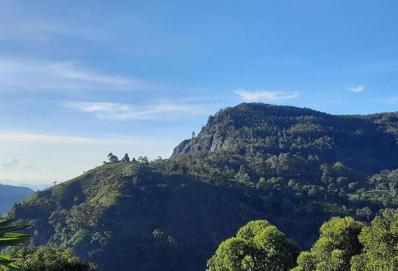 스탠다드 룸 산 전망, Aloft View