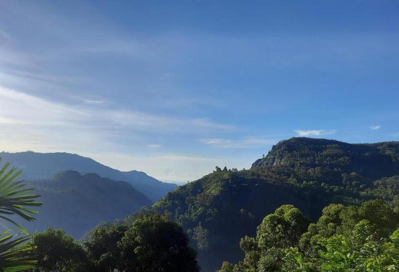 스탠다드 룸 산 전망, Aloft View