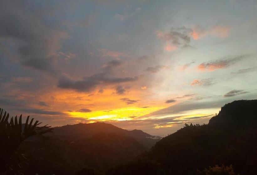 스탠다드 룸 산 전망, Aloft View