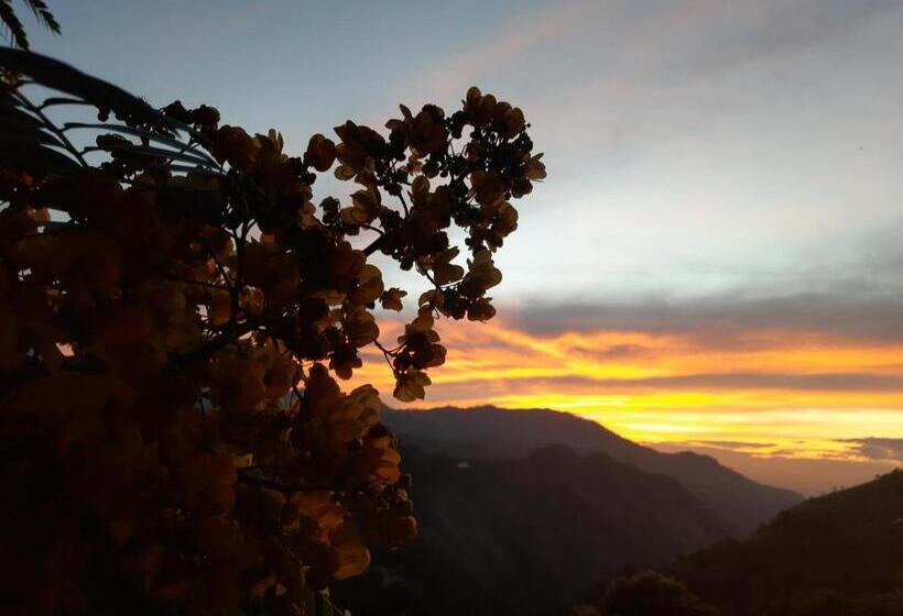 스탠다드 룸 산 전망, Aloft View