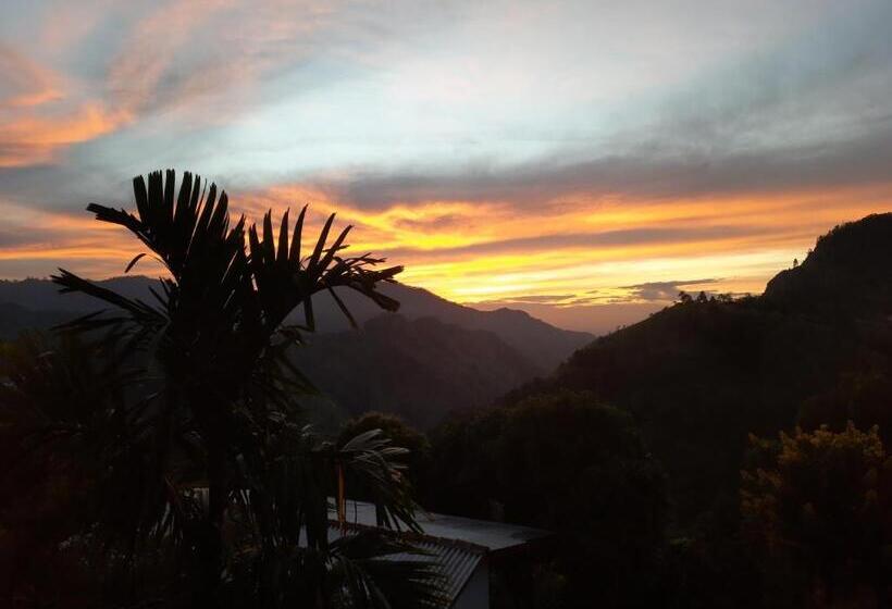 스탠다드 룸 산 전망, Aloft View