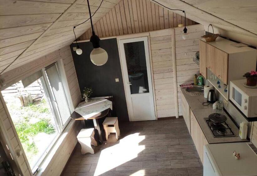 استودیو خانوادگی, карпати котедж анастасія