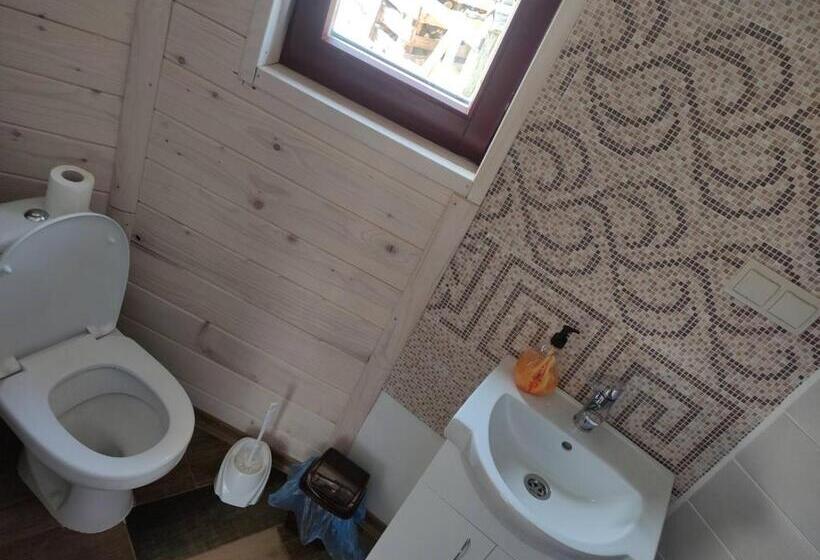 استودیو خانوادگی, карпати котедж анастасія