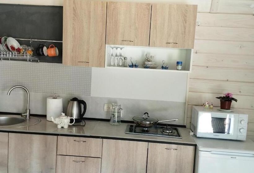 استودیو خانوادگی, карпати котедж анастасія