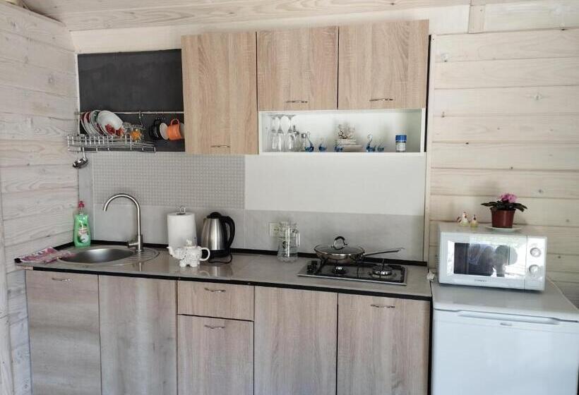 استودیو خانوادگی, карпати котедж анастасія