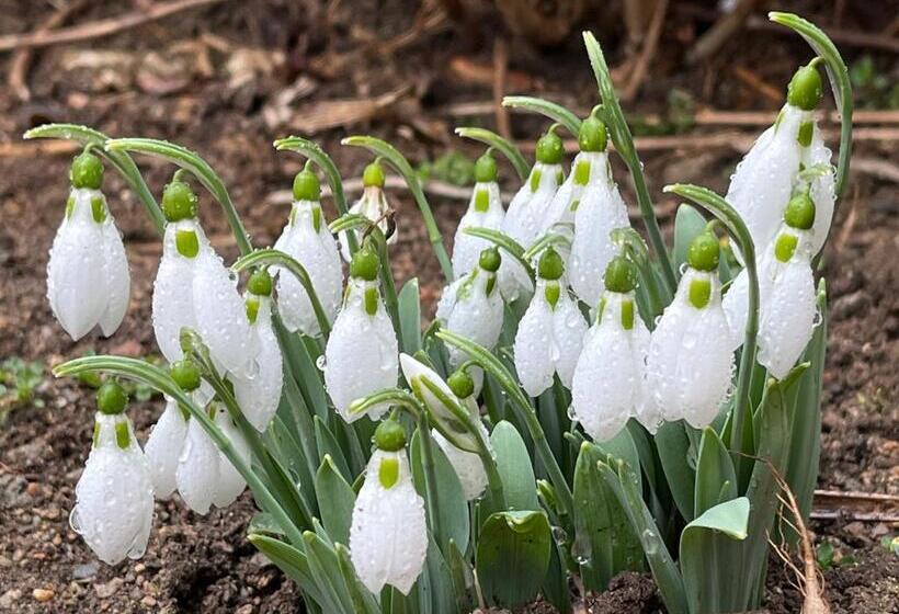 בית, חדר שינה 1, къща христини