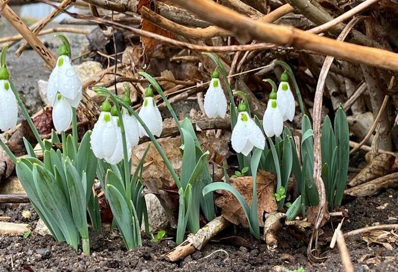 חדר סטנדרט, къща христини