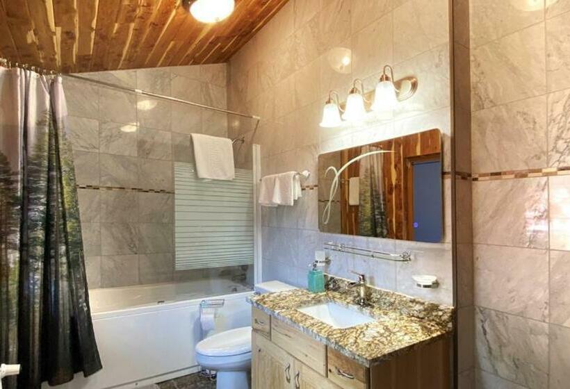 Pokój Standard z Balkonem, Casa Carmen Sinaia