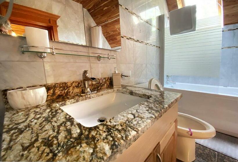 Pokój Deluxe, Casa Carmen Sinaia