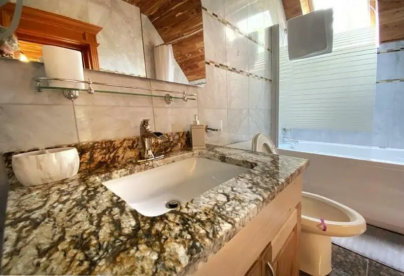 Deluxe-huone, Casa Carmen Sinaia