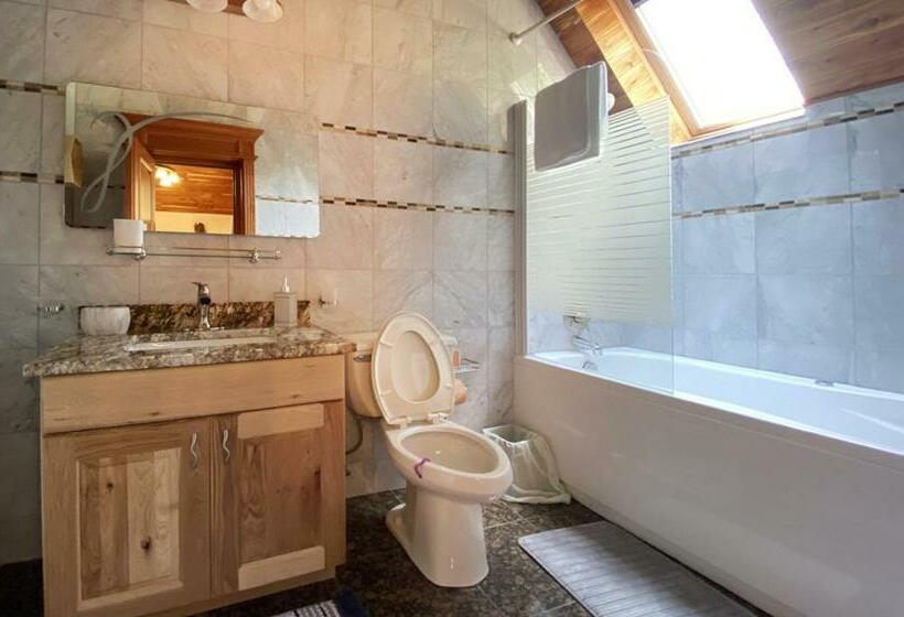 Pokój Deluxe, Casa Carmen Sinaia