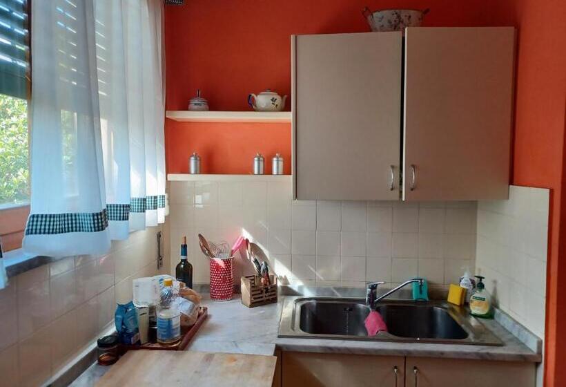 اتاق استاندارد یک نفره, Home Sweet Home 1 Affittacamere Lucca