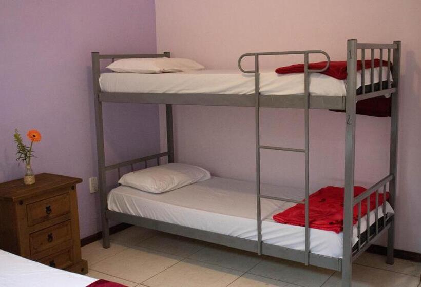 家庭间, Hostel Morada Do Sol Paraty