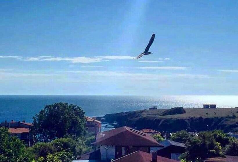 家庭工作室, Brunette Beauties Guesthouse & Studio Sinemorets