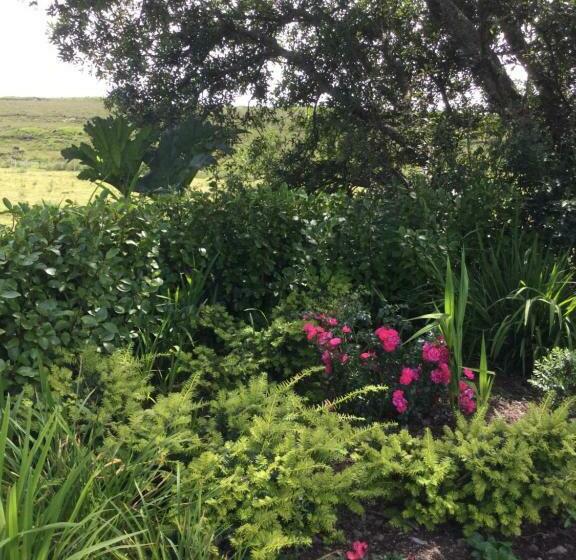 חדר דלוקס, Tullybeggs B&b