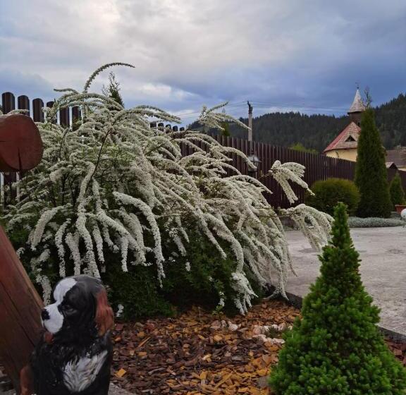 带大床的标准间, Casa Luca