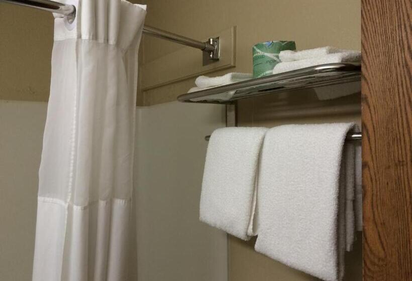 身障者適用スタンダードルーム, Baymont By Wyndham Henrietta   Rochester