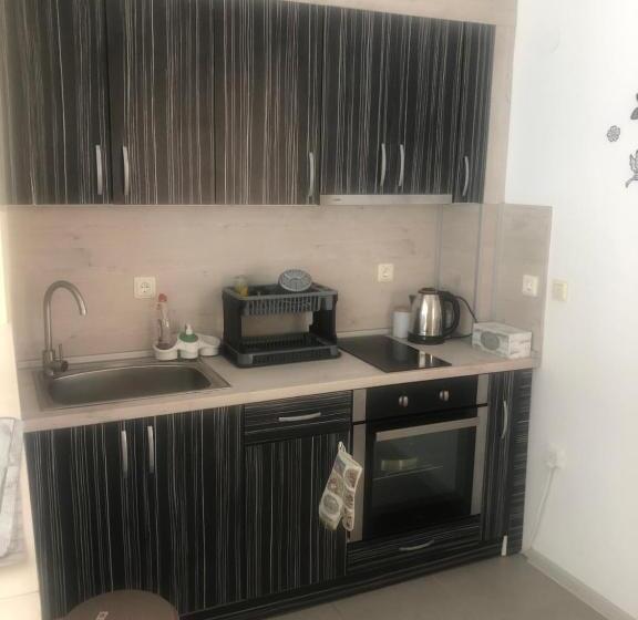 آپارتمان 1 خوابه با چشم‌انداز, къща за гости радина