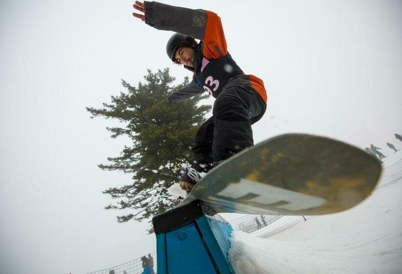 침실 1개 아파트, Stroll To Slopes, Village Area, Ski In Out Mtlodge 294