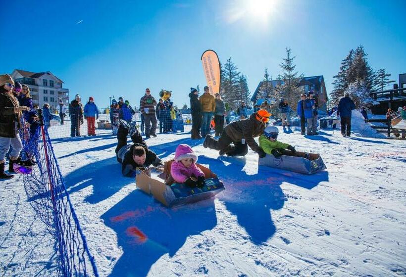 침실 1개 아파트, Stroll To Slopes, Village Area, Ski In Out Mtlodge 294