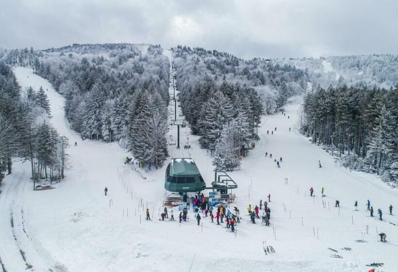 침실 1개 아파트, Stroll To Slopes, Village Area, Ski In Out Mtlodge 294