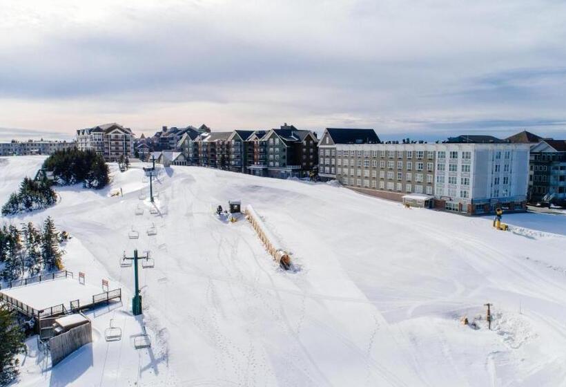 침실 1개 아파트, Stroll To Slopes, Village Area, Ski In Out Mtlodge 294