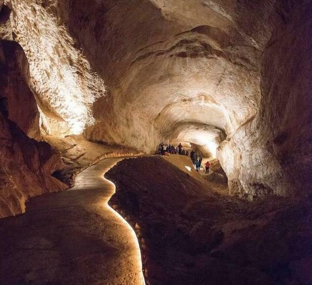 شقة ديلوكس غرفة واحدة, Apartment Diana