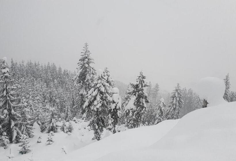 带1个卧室的豪华公寓, Apartment Diana