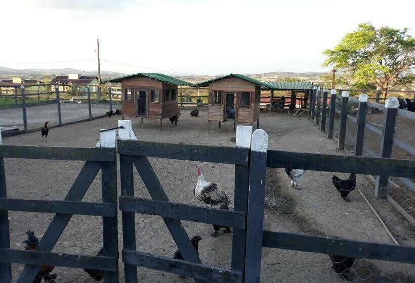 带1个卧室的公寓, Flat Monte Castelo Gravatá Módulo 17