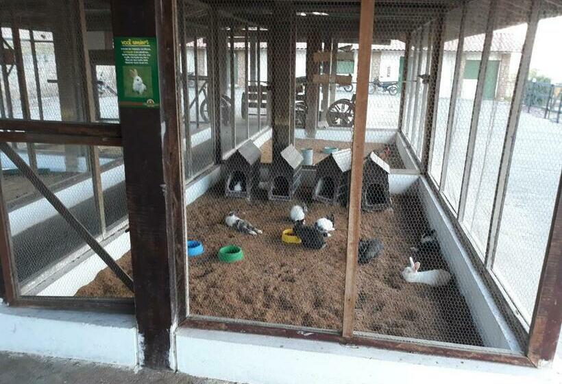 带1个卧室的公寓, Flat Monte Castelo Gravatá Módulo 17