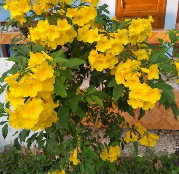 חדר סטנדרט לארבעה, Yahle Villa เยห์เล่วิลล่า