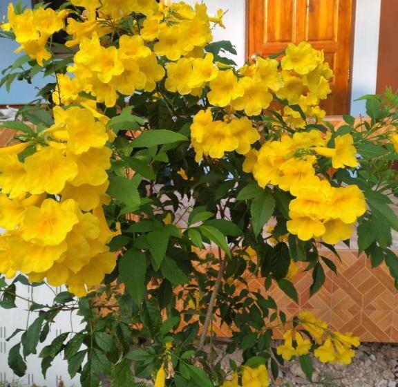 חדר סטנדרט לארבעה, Yahle Villa เยห์เล่วิลล่า