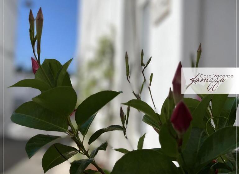 سوئیت خانواده 2 خوابه, Rebecca E Sofia Stone House Affittacamere