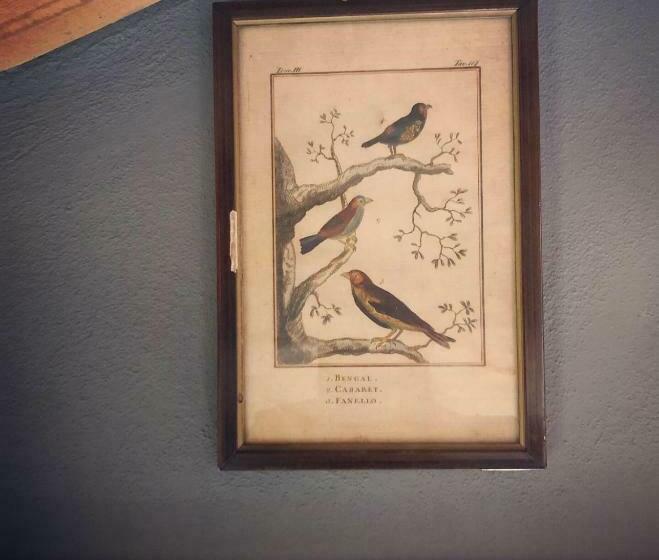 اتاق استاندارد با چشمانداز باغ, B&b Podere Merlo