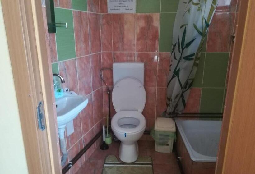 غرفة قياسية, Casa Cozorici