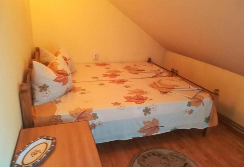 Номер Стандарт Совместная Ванная, Casa Cozorici
