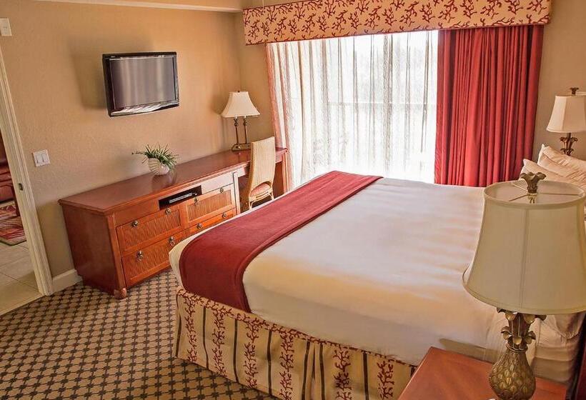 סוויטה, Stunning Condo Near Universal Studios