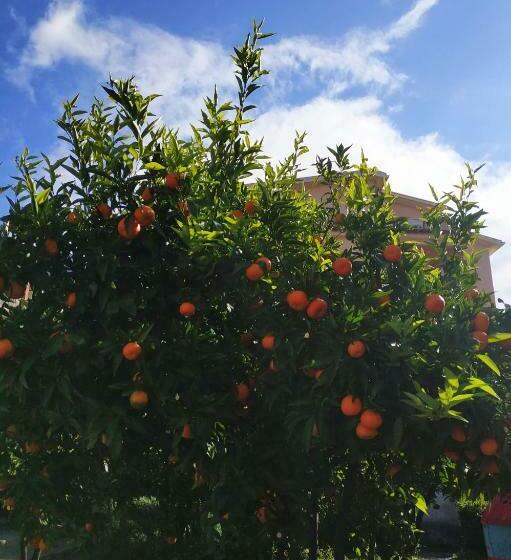 غرفة قياسية فردية حمام مشترك, B&b Mundè