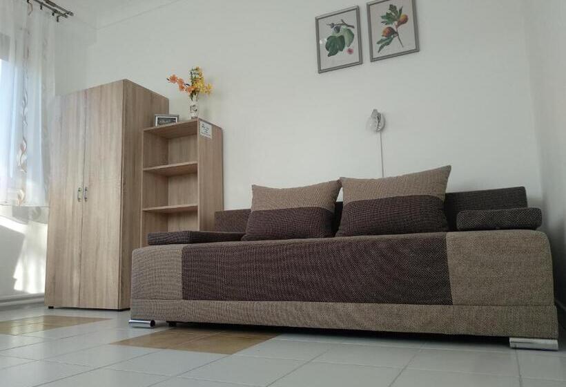 패밀리 룸, Füge Vendégház