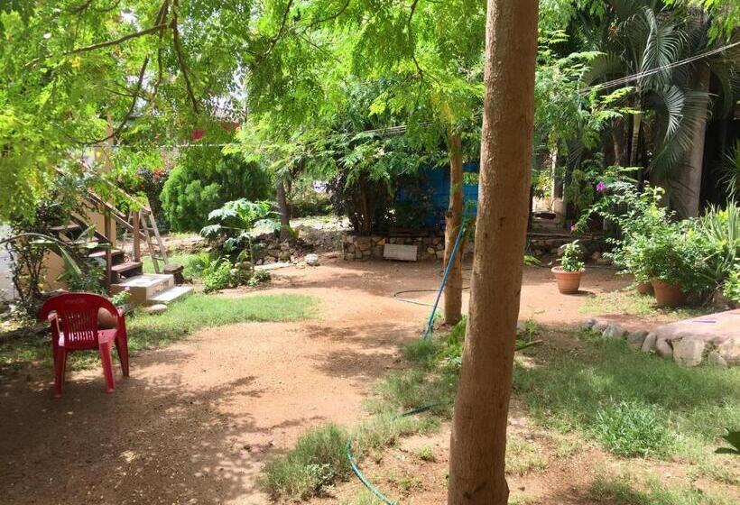 اتاق استاندارد با تخت بزرگ, Posada Aketzalli Mazunte