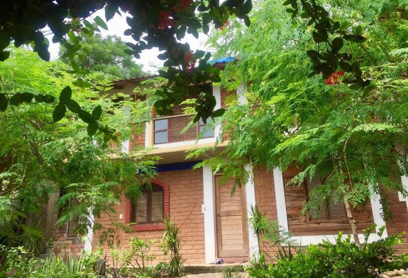 اتاق استاندارد, Posada Aketzalli Mazunte