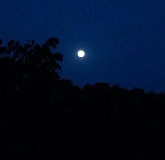 Quarto Triplo Estandar com Sacada, Manacá Suítes Prumirim