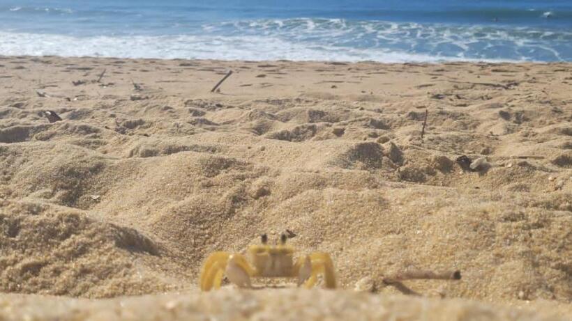 Quarto Triplo Estandar com Sacada, Manacá Suítes Prumirim