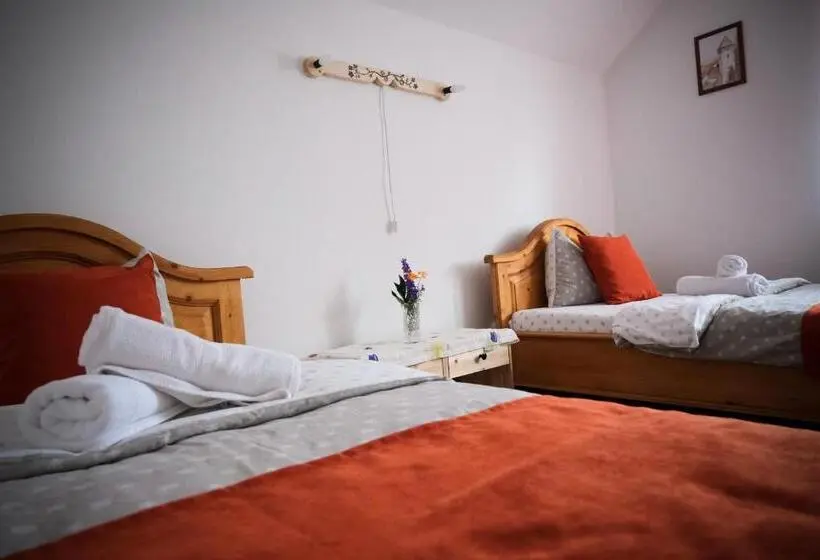 Standard-huone Puutarhanäkymä, Pensiunea Ileana Adults Only