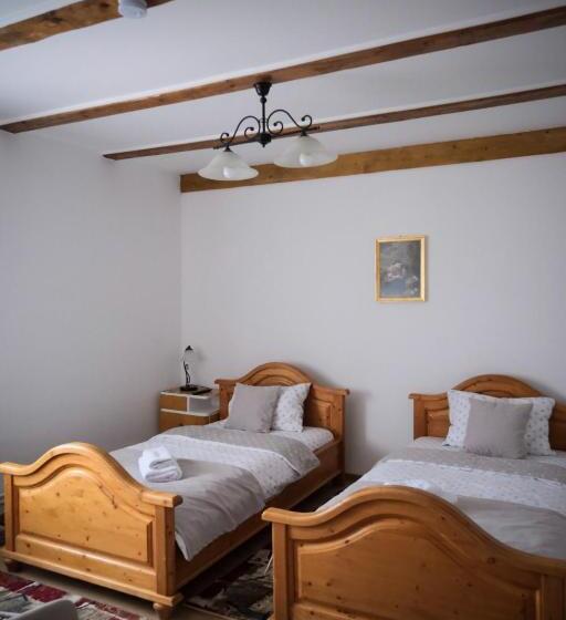 غرفة قياسية مطلة على الجبل, Pensiunea Ileana Adults Only