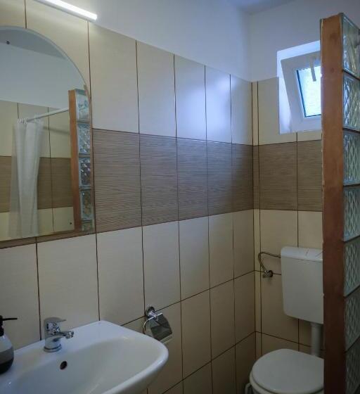 غرفة قياسية مطلة على الجبل, Pensiunea Ileana Adults Only