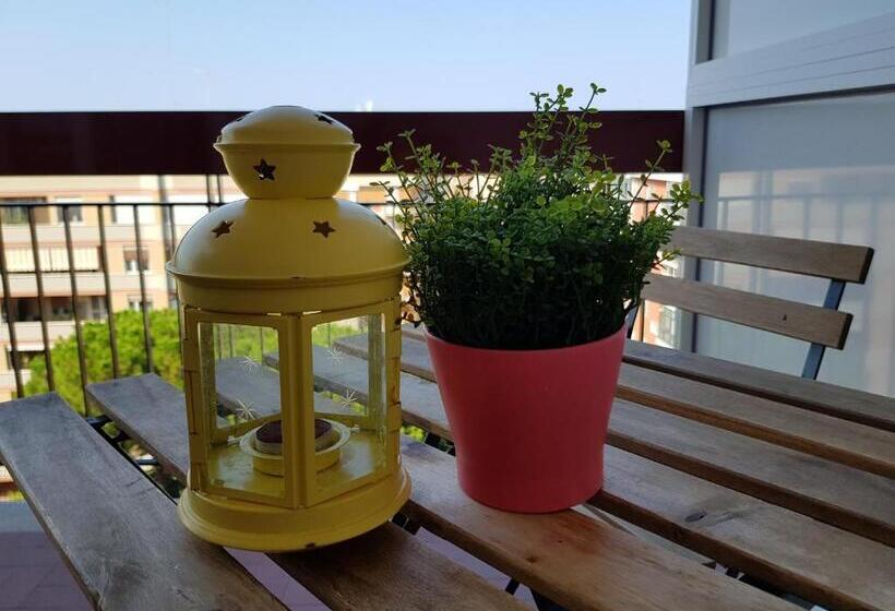 اتاق استاندارد, Tanzi Home