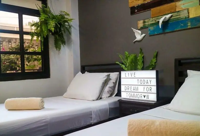 Camera Standard, Hostel Privado